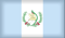 Try Binary Options - Guatemala
